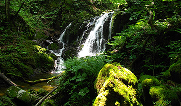藤沢の滝の風景写真