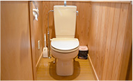 Western-style toilet photos